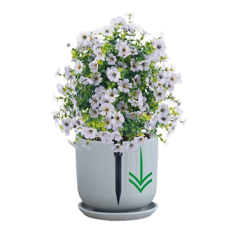Eucalyptus Violet Floor Outlet Garden Green Plant