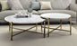 Zaidee Marble Top Nickel Nesting Table Set - White