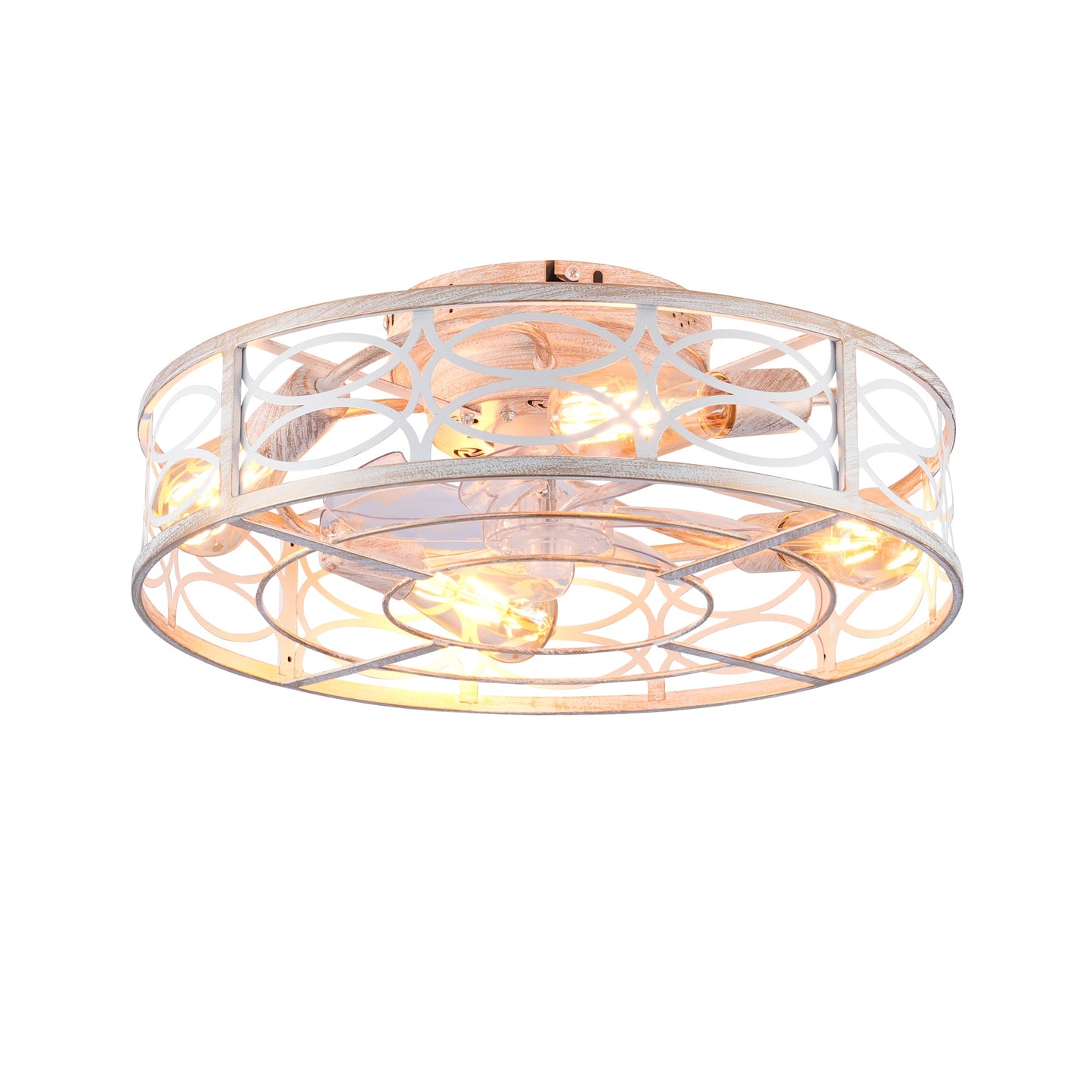 20" Caged Ceiling Fan with Lights and Remote Control