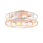 20" Caged Ceiling Fan with Lights and Remote Control