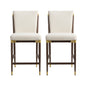 Modern Armless Counter Stool - Set of 2