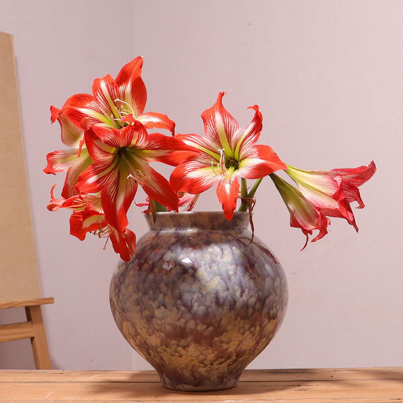 nEW BEAUTIFUL Ceramic Vase  WITH Hydroponic Flower Pot Decor