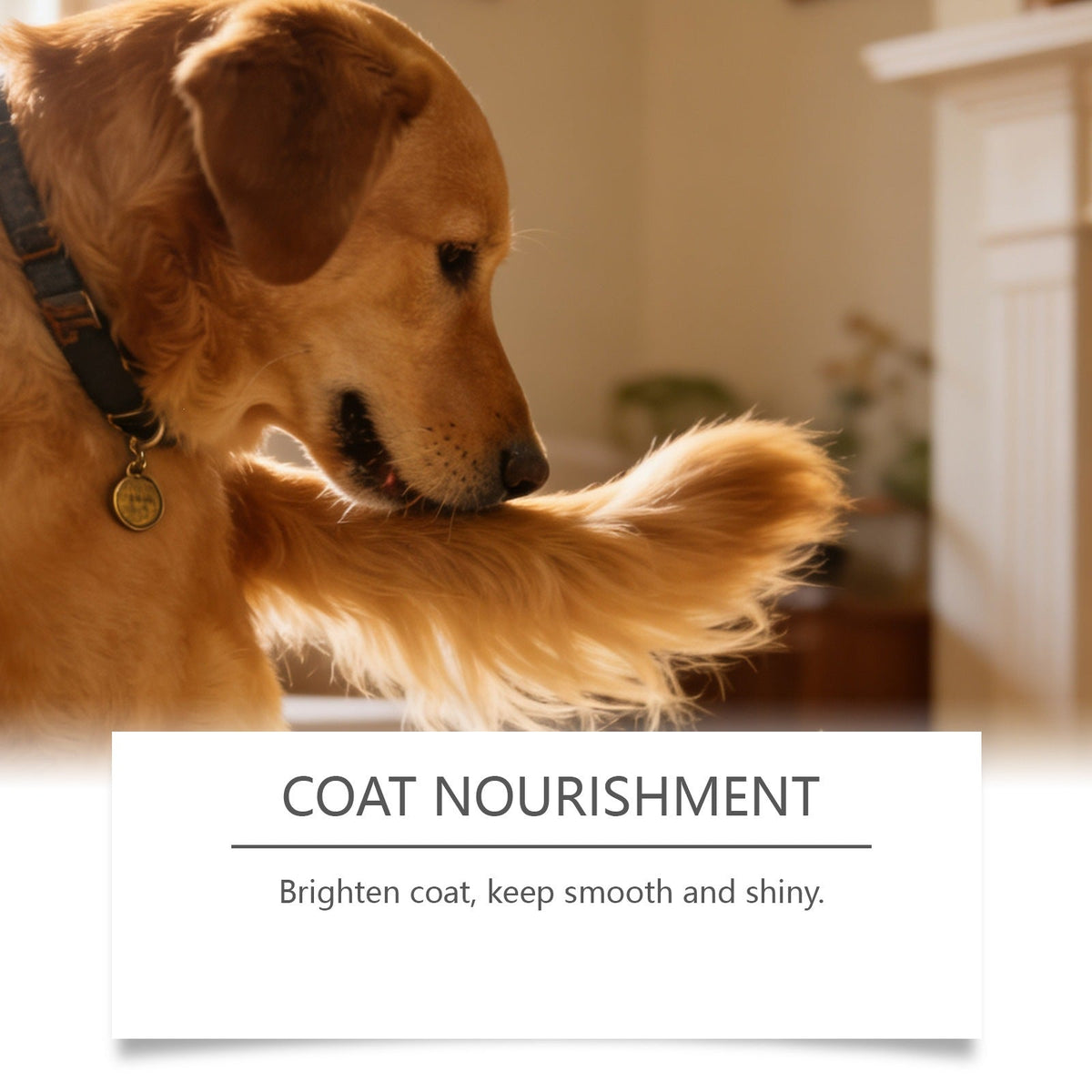 Kriath Mushroom Chewable Tablets For Dogs - Mild Formula For Daily Care And Nutritional Balance For Dogs