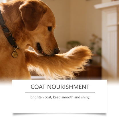 Kriath Mushroom Chewable Tablets For Dogs - Mild Formula For Daily Care And Nutritional Balance For Dogs