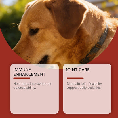Kriath Mushroom Chewable Tablets For Dogs, Dog Dietary Nutritional Tablets, Daily Feeding Supplement Nutritional Products