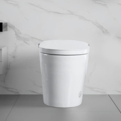 Tankless Smart Toilet With Bidet Built In, 1 Piece, Auto Flush, Auto Open / Close, Heated Seat, Bubble Wash, Warm Water And Dry, Adjustable Temp, Remote Control Side Know - White