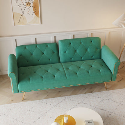 Luxurious Sofa Bed With Nail Head Trim And Matching Pillow