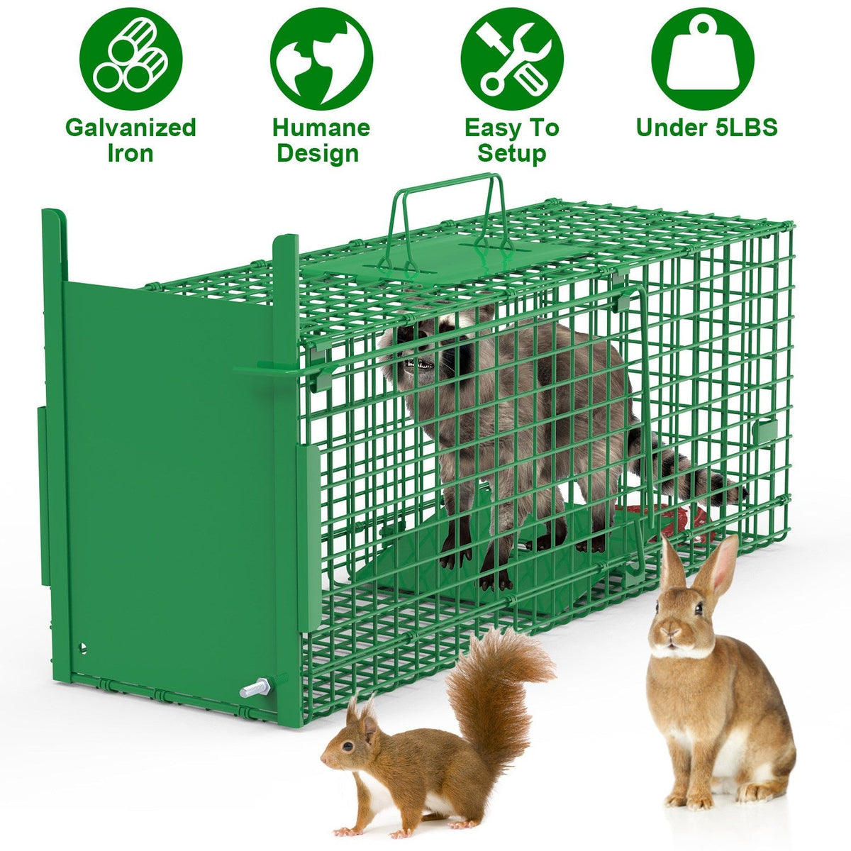 30in 1 Door Live Animal Cage Trap For Animals Under 5LBS Easy To Setup Humane Galvanized Iron Trap Cage For Small Cats Rabbits Squirrels Moles Chipmun