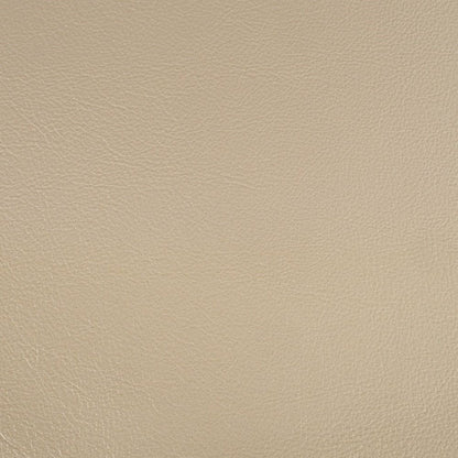 Danae - Side Chair (Set of 2) - Synthetic Leather , Champagne & Gold