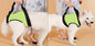 Old Disabled Golden Retriever Dog Pet Auxiliary Strap