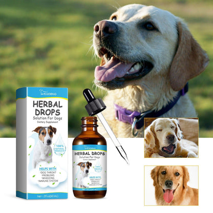 Yegbong Pet Cough Herbal Drops Pet Body Discomfort Care For Pet Cough And Runny Nose