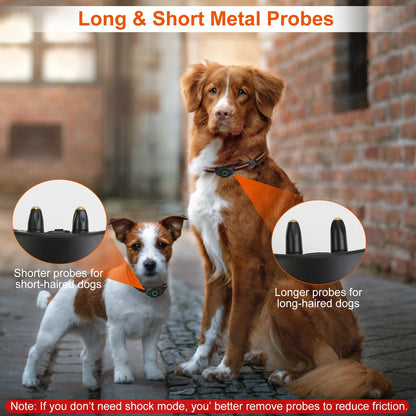 GBruno IPX7 Waterproof Dog Training Collar