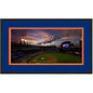 Framed Citi Field New York Mets MLB 16x24 Baseball Photo Professionally Matted