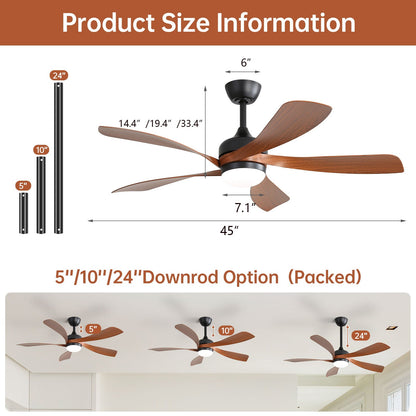 Ceiling Fan with DC Motor and Integrated Light