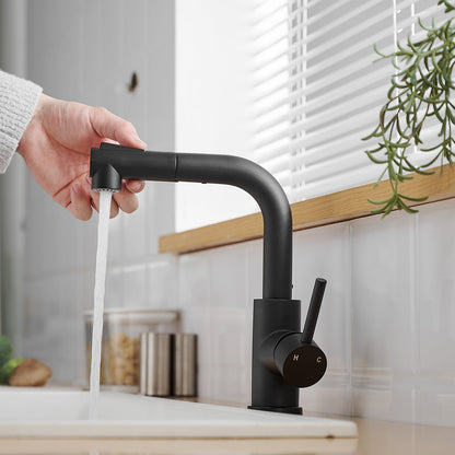 Black Kitchen Sink Faucet with Pull Down Sprayer