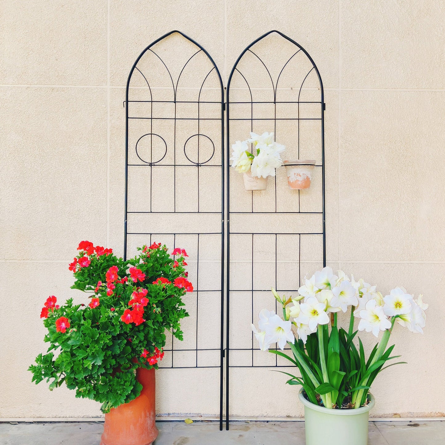 2 Pack Metal Garden Trellis 78.7" x 19.7"