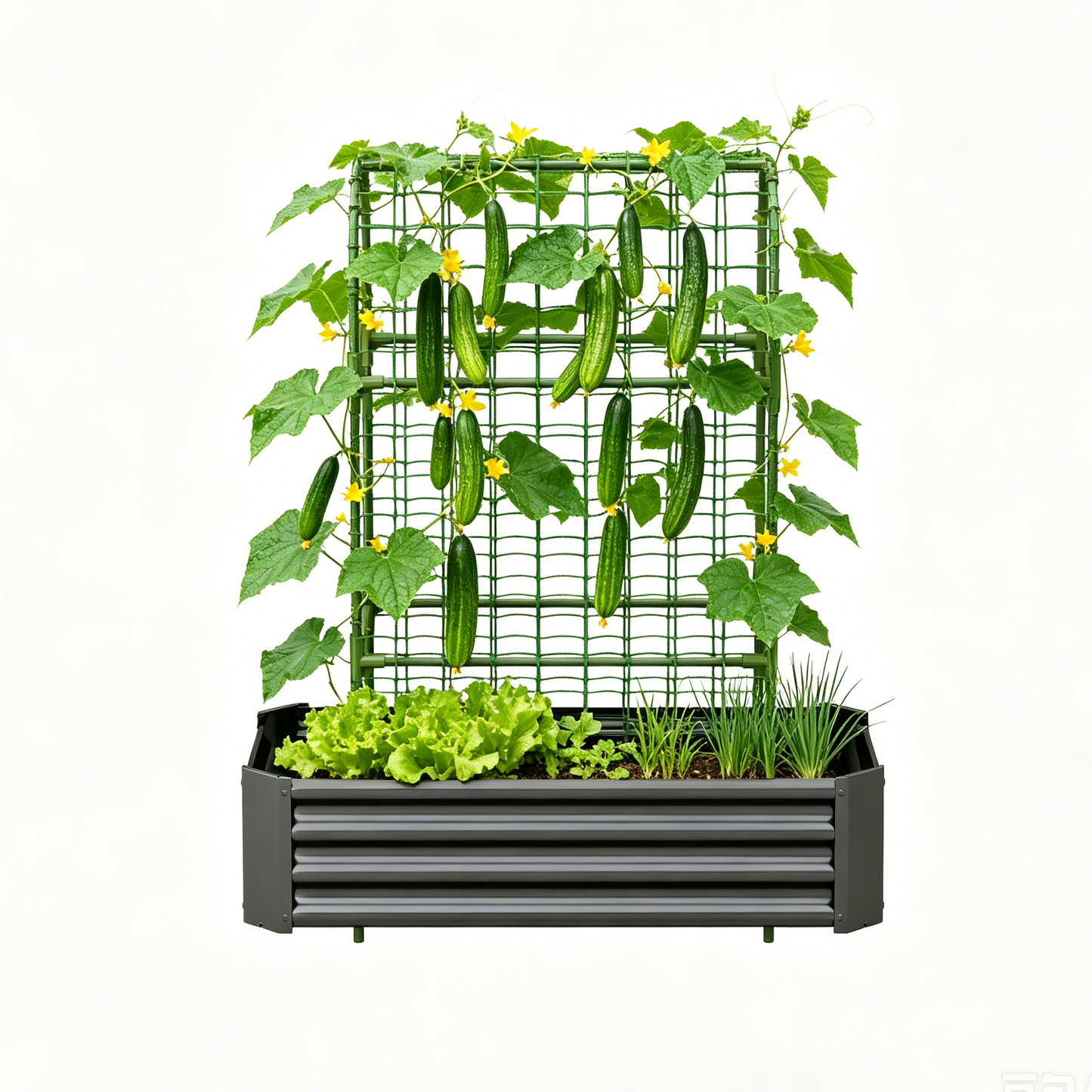 2-in-1 Raised Garden Bed with Trellis - 4x2x1 Ft Outdoor Planter