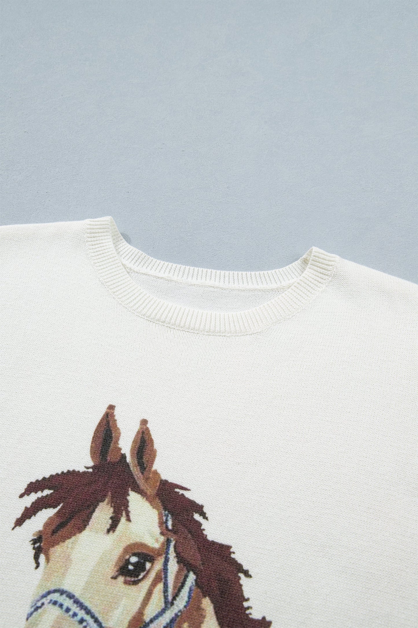 Regina Printed Short Sleeve Sweater