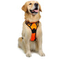 Dog Hand Holding Rope Reflective Vest