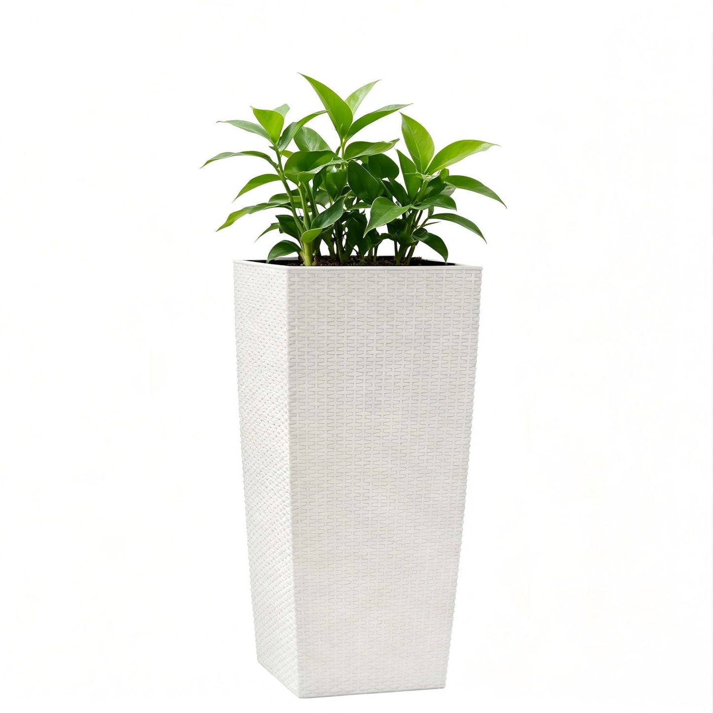 Indoor Outdoor Planter With Automatic Watering System
