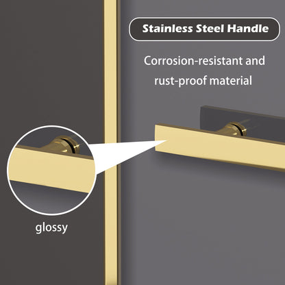 Dual Sliding Frameless Shower Door 44-48 in W x 75 in H