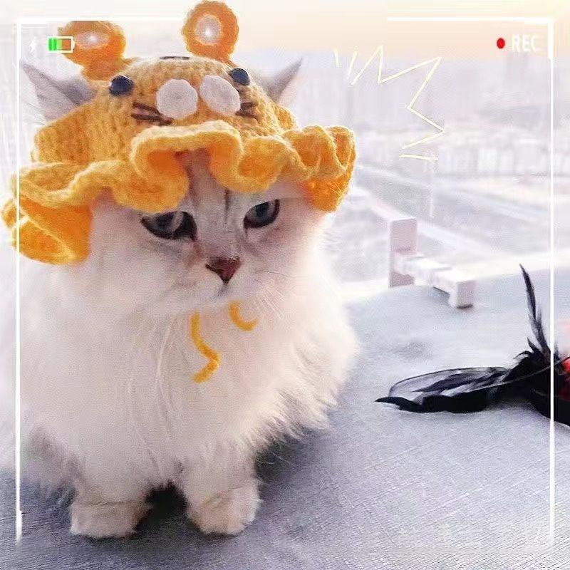 Pet Hat Dog And Pet Headwear Cute 3D Knitted Wool Bonnet Finished Cat Item