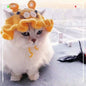 Pet Hat Dog And Pet Headwear Cute 3D Knitted Wool Bonnet Finished Cat Item