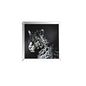 Talisha - Wall Art - Mirrored & Faux Crystal Leopard