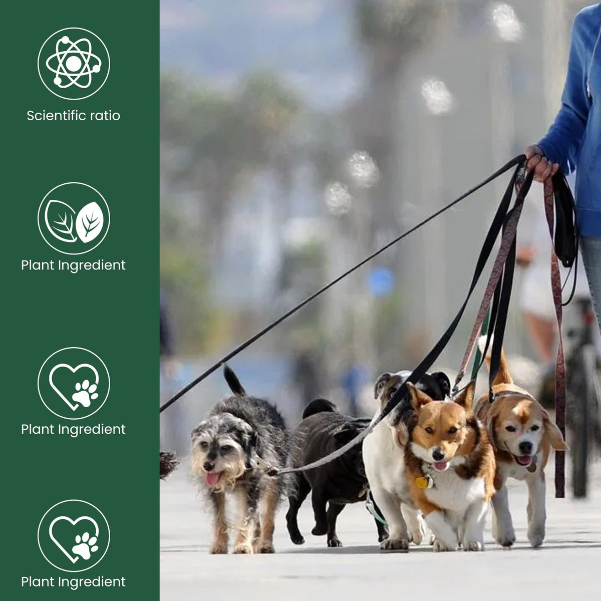 Yegbong Pet Joint Care Drops Are Suitable For All Ages Of Dogs And Cats, For Joint And Skin Care