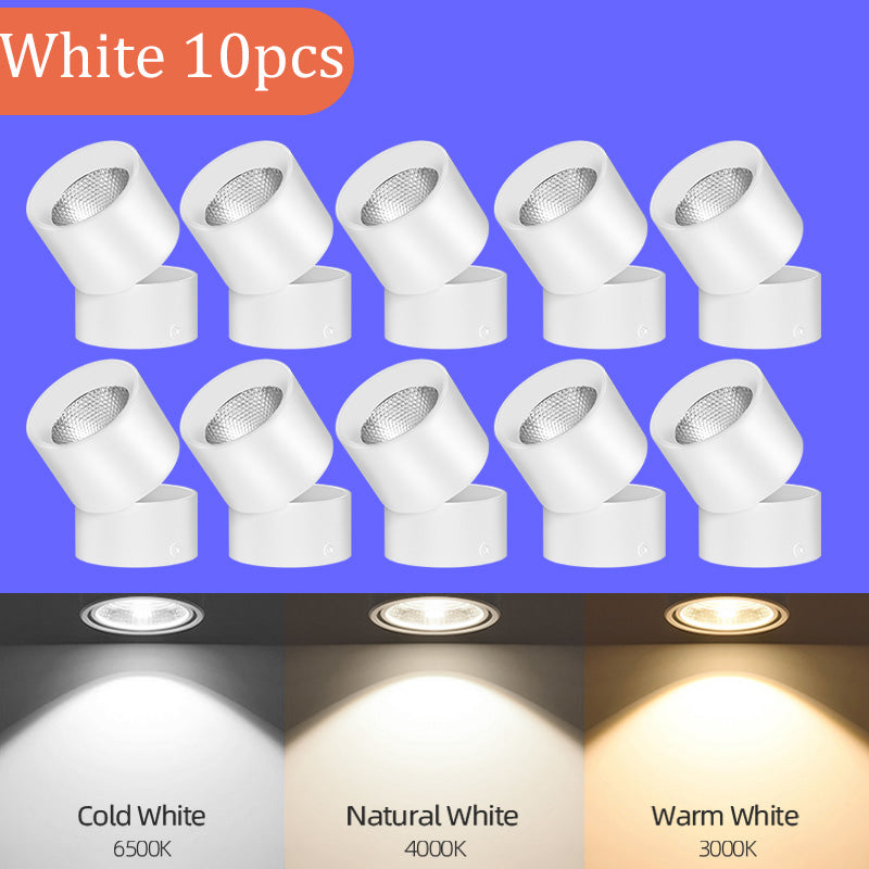 LED Downlight Spotlights Are Open Mounted And Foldable