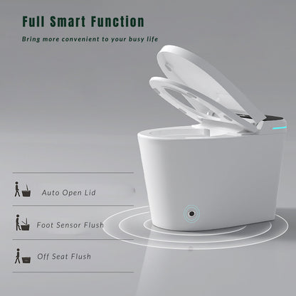 Modern Smart Toilet with Bidet Seat Built-in