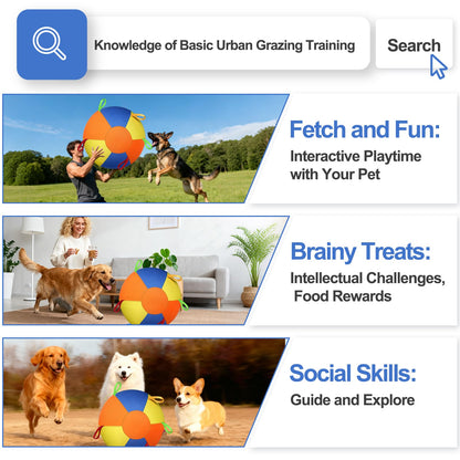 Herding Ball For Dogs, Large Dog Ball With Handles For Outdoor Play, Indestructible Training Toy Balls For Australian Shepherd, Interactive Toy Balls For Medium & Large Dogs
