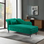 Aijia 60" Velvet Multifunctional Storage Chaise Lounge