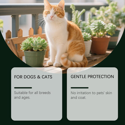 Tick Repellent Household Pet Repellent Cat Dog Skin Hair External Application Spray
