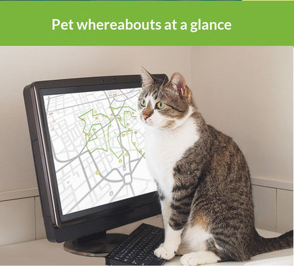 GPS Outdoor Pet Tracker & Activity Monitor