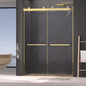 Dual Sliding Frameless Shower Door 56-60 in W x 75 in H