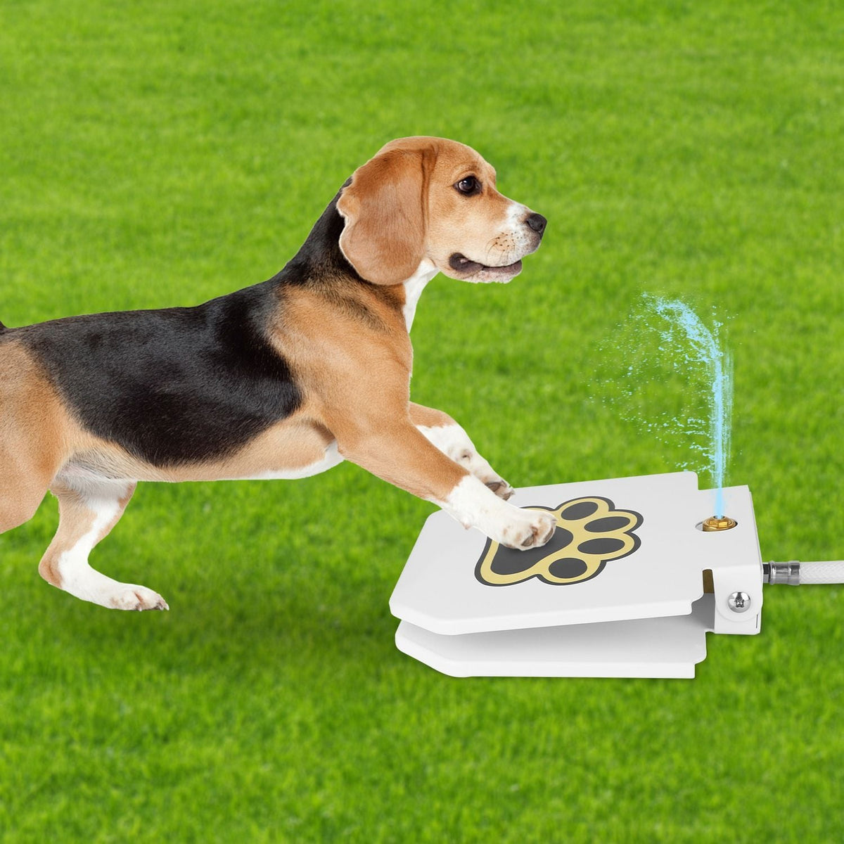 Outdoor Dog Water Fountain Step-On Activated Pet Water Dispenser