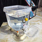 Cute Dopamine Pet Cat Automatic Water Dispenser
