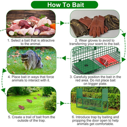 38in 2 Door Live Animal Cage Trap For Animals Under 18LBS Easy To Setup Humane Galvanized Iron Trap Cage For Raccoons Armadillos Groundhogs Muskrats O