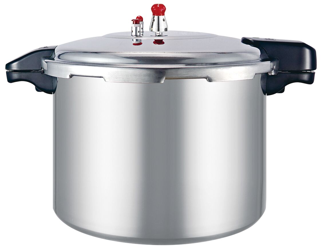 Sleek, Modern, High-Capacity Gas Induction Cooker – A Universal Design