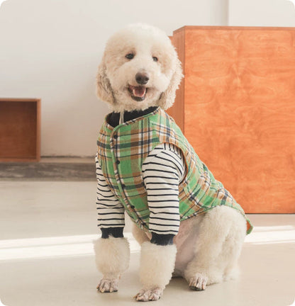 Thermal Protection Labrador Golden Retriever Samoyed Premium Pet Clothing