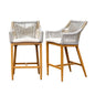 Outdoor Bar Stools Set of 2 with Arm and Backrest