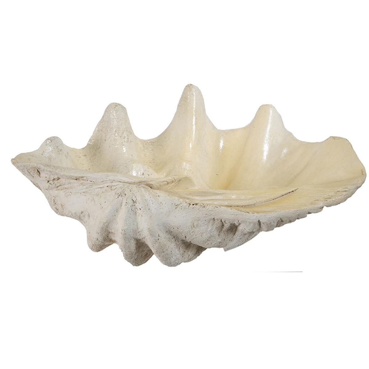 Large Clam Shell Accent 25.3x16.5x8.5"