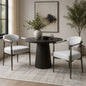Modern Dining Chairs Set of 2 with Bronze Iron Frame