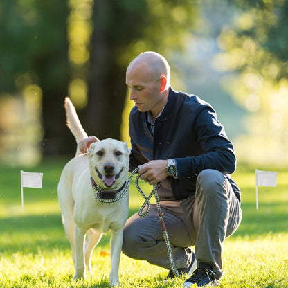 GBruno Electric Dog Fence System
