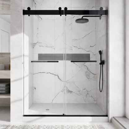 48 inches x 76 inches Double Sliding Shower Door in Matte