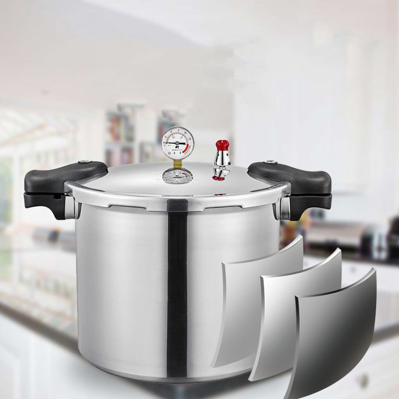 Sleek, Modern, High-Capacity Gas Induction Cooker – A Universal Design