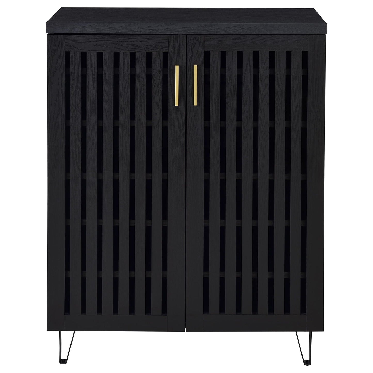 Clackamas - 2 Door Storage Cabinet With Adjustable Shelves