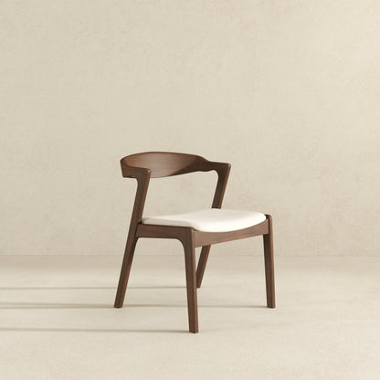 Dakota - Mid-Century Modern Dining Chair (Set of 2)