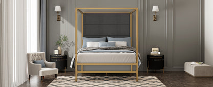 Modern Gold Metal Canopy Bed